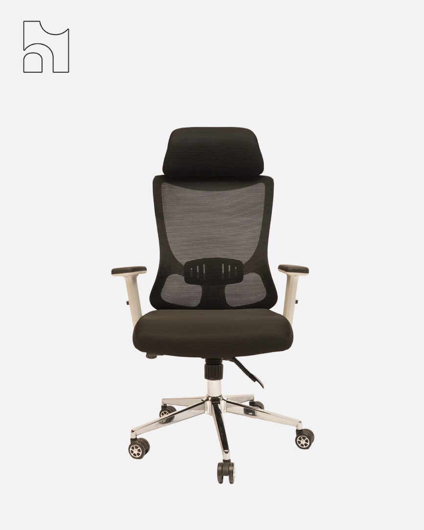 Ergonomic executive office chair