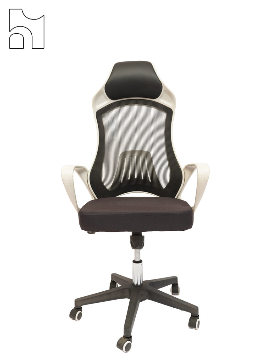 ErgoBlade Fusion Chair – Contoured Design with Dual-Tone Mesh & Headrest