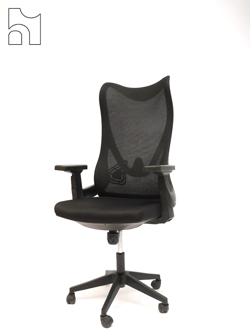 FlexiFrame Mesh Office Chair – Adaptive Comfort with Sleek Functionality