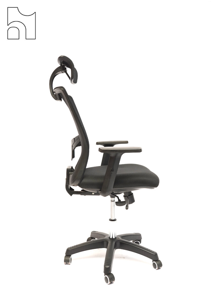 FlexSpine Elite Chair – Adaptive Mesh Back with 3D Headrest Support